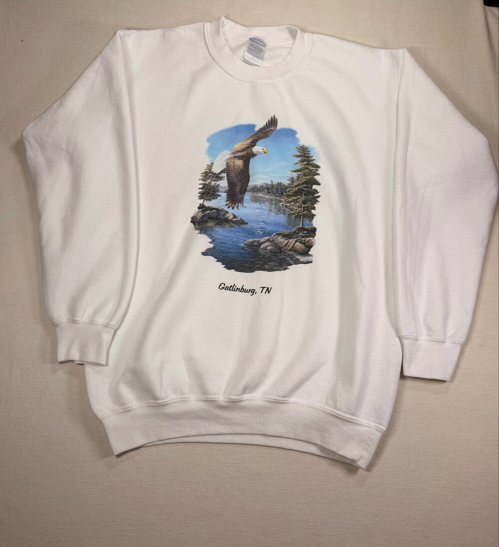 Vintage Y2K Gatlinburg TN Eagle Sweatshirt Large Gildan Scenic Nature Crewneck